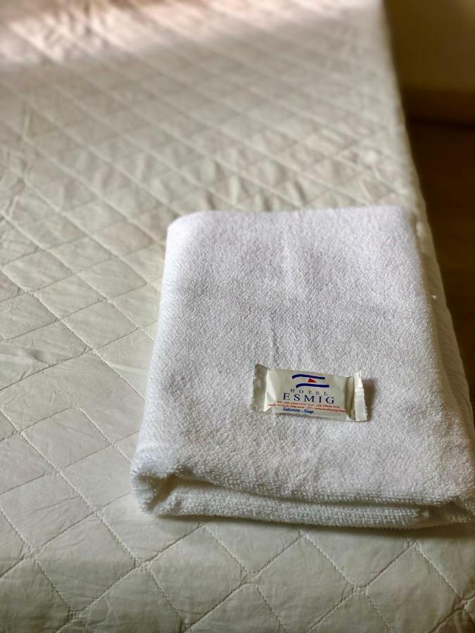 Hotel Esmig Venda Nova do Imigrante Εξωτερικό φωτογραφία